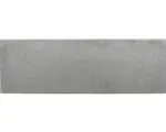 Hornbach FLAIRSTONE Poolumrandung Phönix grau gerade beide Längsseiten gerundet 115 x 35 x 3 cm