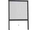 Hornbach Insektenschutz home protect easyHOLD Rollo-Fenster Aluminium anthrazit 80x130 cm