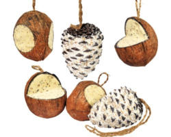 Vogelfuttermix Kokosnüsse & Riesenzapfen 6-teilig