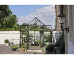 Hornbach Gewächshaus Halls Qube 88 3 mm Sicherheitsglas 261 x 261 cm schwarz