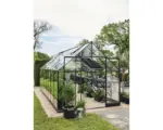 Hornbach Gewächshaus Halls Qube 816 3 mm Sicherheitsglas 261 x 508 cm schwarz