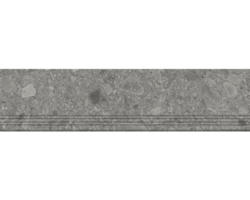 Feinsteinzeug Treppenstufe Donau 30,0x120,0 cm grau matt