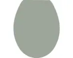 Hornbach WC-Sitz Form & Style Color Edge Olive matt mit Absenkautomatik