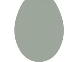 WC-Sitz Form & Style Color Edge Olive matt mit Absenkautomatik