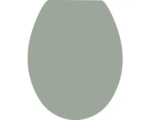 WC-Sitz Form & Style Color Edge Olive matt mit Absenkautomatik