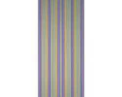 Türvorhang Streifen brillant 90x200 cm