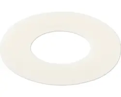 Spülkastenscheibe Köro 31x62x2 mm für Sanit