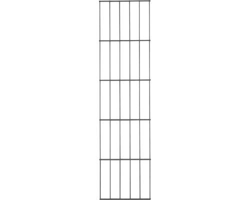 Seitengitter ALBERTS Cluster 6/5/6 25 x 180 cm anthrazit