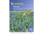 Hornbach Gründünger Kiepenkerl 'Phacelia' 1 kg