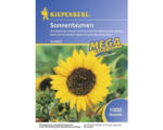 Hornbach Gründünger Kiepenkerl 'Sonnenblume' 1 kg