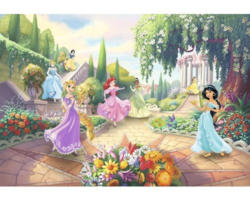 Fototapete Papier 8-4109 Disney Edition 4 Princess Park 8-tlg. 368 x 254 cm