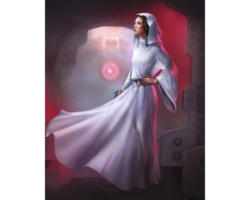 Fototapete Vlies DX4-046 Disney Edition 4 Star Wars Classic Leia 4-tlg. 200 x 250 cm