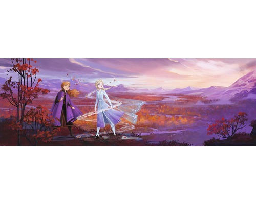 Fototapete Papier 4-4104 Disney Edition 4 Frozen Panorama 8-tlg. 368 x 127 cm