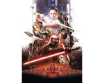 Hornbach Fototapete Papier 4-4113 Disney Edition 4 Star Wars EP9 Movie Poster Rey 4-tlg. 184 x 254 cm