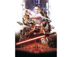 Fototapete Papier 4-4113 Disney Edition 4 Star Wars EP9 Movie Poster Rey 4-tlg. 184 x 254 cm