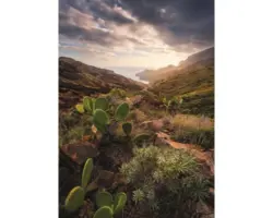 Fototapete Vlies SHX4-092 Warmes Licht 4-tlg. 200 x 280 cm