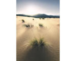 Hornbach Fototapete Vlies SHX4-091 Vivid Dunes 4-tlg. 200 x 280 cm