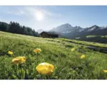 Hornbach Fototapete Vlies SHX8-003 Alpenglück 8-tlg. 400 x 280 cm