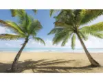 Hornbach Fototapete Vlies SHX9-014 Caribbean Days II 9-tlg. 450 x 280 cm