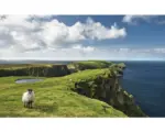 Hornbach Fototapete Vlies SHX9-040 Green Ireland 9-tlg. 450 x 280 cm