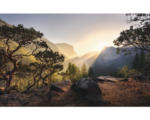 Hornbach Fototapete Vlies SHX9-101 Yosemites Secret 9-tlg. 450 x 280 cm