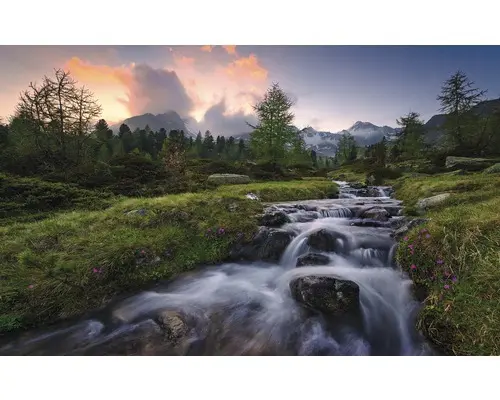 Fototapete Vlies SHX9-096 Wild Paradise 9-tlg. 450 x 280 cm