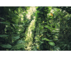 Fototapete Vlies SHX9-114 Green Leaves 9-tlg. 450 x 280 cm