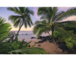 Hornbach Fototapete Vlies SHX9-116 Hawaiian Dreams 9-tlg. 450 x 280 cm