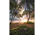 Hornbach Fototapete Vlies SHX4-090 Vertical Paradise 4-tlg. 200 x 280 cm