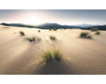 Hornbach Fototapete Vlies SHX9-091 Vivid Dunes 9-tlg. 450 x 280 cm