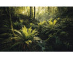 Hornbach Fototapete Vlies SHX9-110 Fjordland Woods 9-tlg. 450 x 280 cm