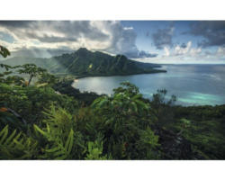 Fototapete Vlies SHX9-117 Jurassic Island 9-tlg. 450 x 280 cm