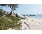 Hornbach Fototapete Vlies SHX9-056 Mediterrane Träume 9-tlg. 450 x 280 cm