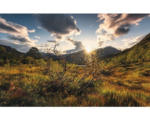 Hornbach Fototapete Vlies SHX9-060 Norwegische Welten 9-tlg. 450 x 280 cm