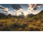 Hornbach Fototapete Vlies SHX9-060 Norwegische Welten 9-tlg. 450 x 280 cm