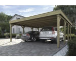 Hornbach Doppelcarport weka 609 Gr. 1 576 x 591 cm kesseldruckimprägniert