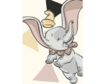 Hornbach Poster Dumbo Angles 50x70 cm