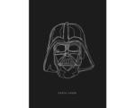 Hornbach Poster SW Lines Dark Side Vader 50x70 cm