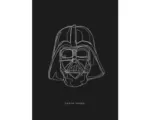 Hornbach Poster SW Lines Dark Side Vader 50x70 cm