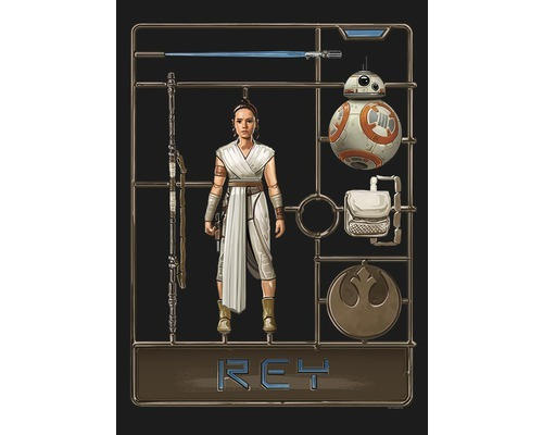 Poster SW Toy Rey 50x70 cm