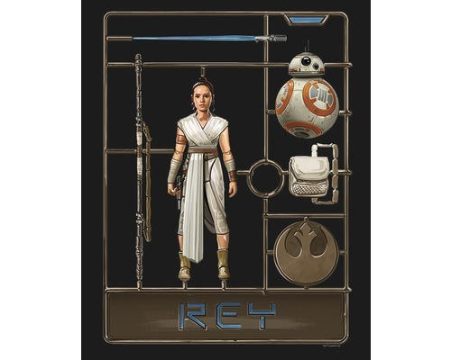 Poster SW Toy Rey 40x50 cm