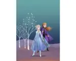 Hornbach Poster Frozen Sisters 50x70 cm