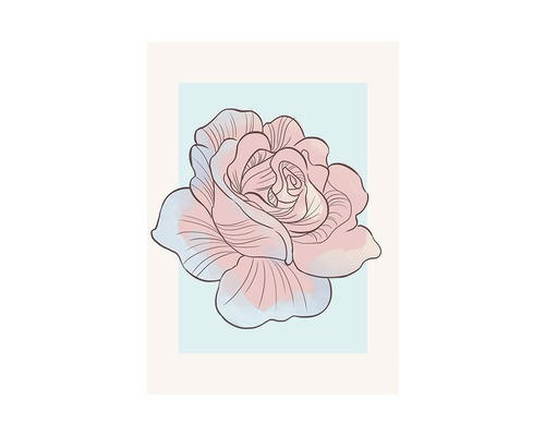 Poster Cinderella Rose 50x70 cm