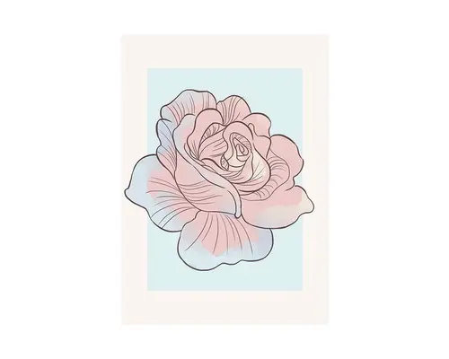 Poster Cinderella Rose 50x70 cm