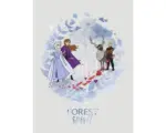 Hornbach Poster Frozen Spirit 30x40 cm