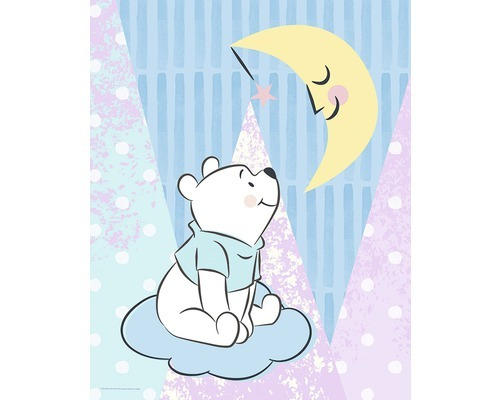 Poster Winnie Pooh Moon 40x50 cm