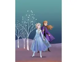 Poster Frozen Sisters 30x40 cm