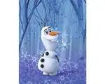 Hornbach Poster Frozen Olaf Crystal 40x50 cm