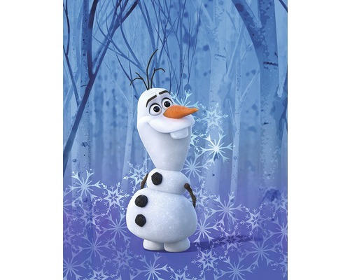 Poster Frozen Olaf Crystal 40x50 cm