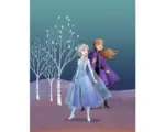 Hornbach Poster Frozen Sisters 40x50 cm